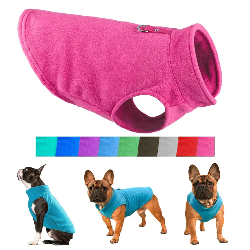 For my dogs clothing best sale